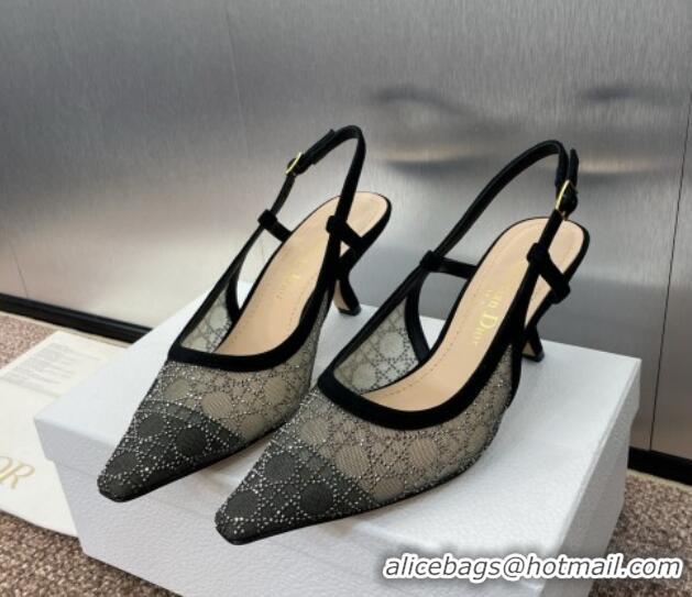 Charming Dior Capture Slingback Pumps 6.5cm in Transparent Mesh with Silver-Tone Strass Cannage Motif and Black Suede 12