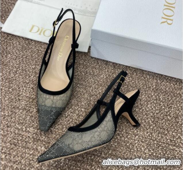 Charming Dior Capture Slingback Pumps 6.5cm in Transparent Mesh with Silver-Tone Strass Cannage Motif and Black Suede 12