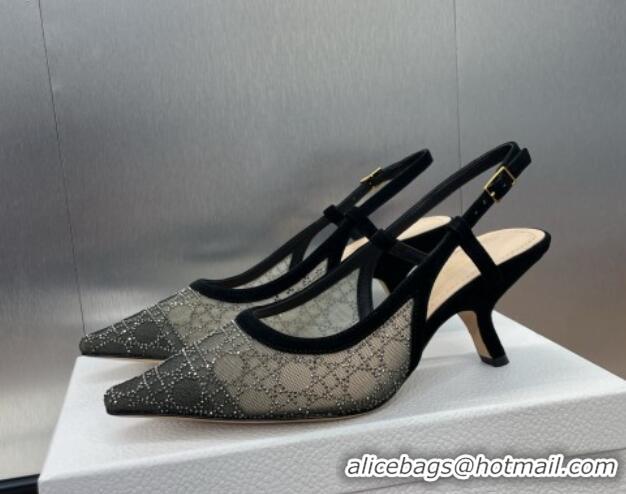 Charming Dior Capture Slingback Pumps 6.5cm in Transparent Mesh with Silver-Tone Strass Cannage Motif and Black Suede 12