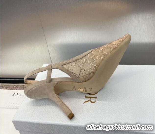 Big Discount Dior Capture Slingback Pumps 9.5cm in Transparent Mesh with Gold-Tone Strass Cannage Motif and Beige Suede 