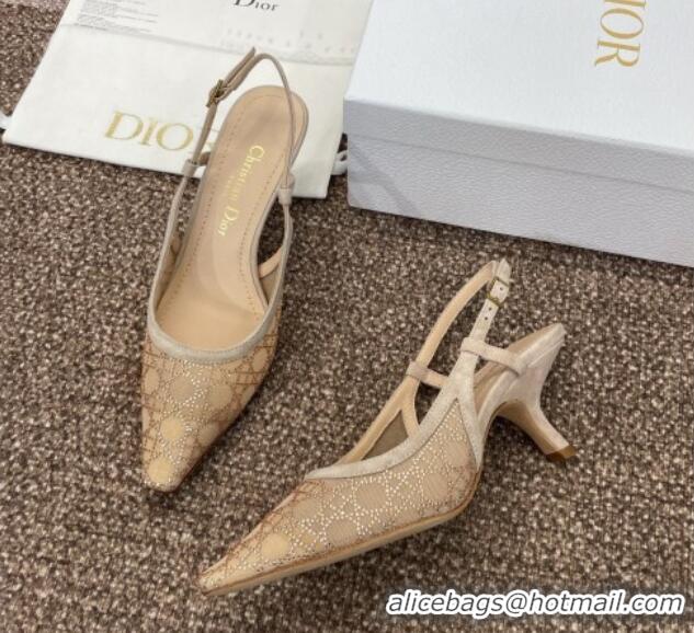 Sophisticated Dior Capture Slingback Pumps 6.5cm in Transparent Mesh with Gold-Tone Strass Cannage Motif and Beige Suede