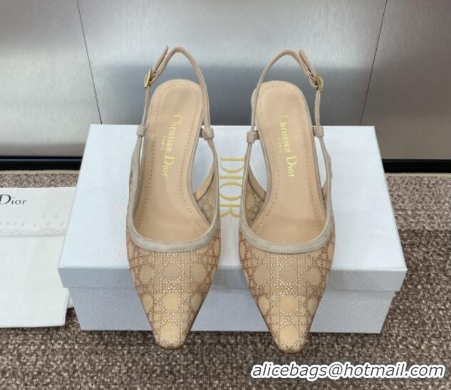 Sophisticated Dior Capture Slingback Pumps 6.5cm in Transparent Mesh with Gold-Tone Strass Cannage Motif and Beige Suede