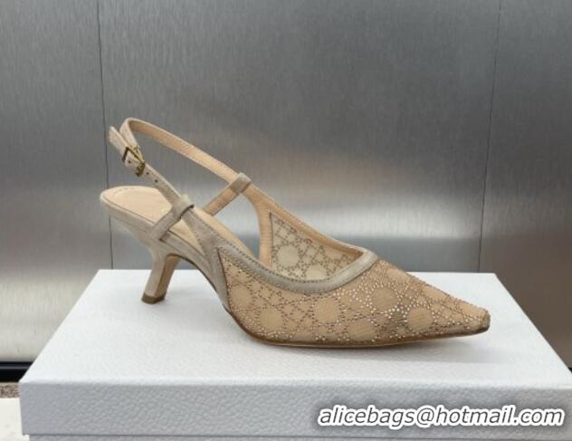 Sophisticated Dior Capture Slingback Pumps 6.5cm in Transparent Mesh with Gold-Tone Strass Cannage Motif and Beige Suede