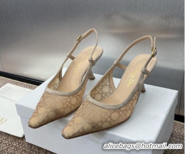 Sophisticated Dior Capture Slingback Pumps 6.5cm in Transparent Mesh with Gold-Tone Strass Cannage Motif and Beige Suede