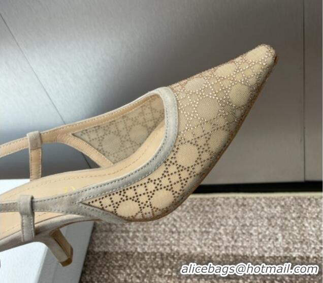 Sophisticated Dior Capture Slingback Pumps 6.5cm in Transparent Mesh with Gold-Tone Strass Cannage Motif and Beige Suede