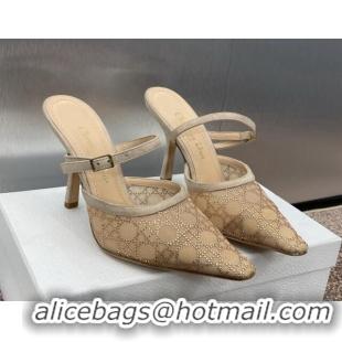 Hot Style Dior Capture Heeled Mules 9.5cm in Transparent Mesh with Gold-Tone Strass Cannage Motif and Beige Suede 123105