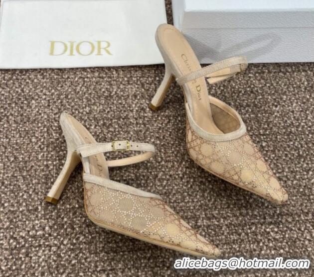 Hot Style Dior Capture Heeled Mules 9.5cm in Transparent Mesh with Gold-Tone Strass Cannage Motif and Beige Suede 123105