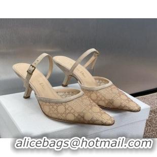 Cheap Price Dior Capture Heeled Mules 6.5cm in Transparent Mesh with Gold-Tone Strass Cannage Motif and Beige Suede 1231