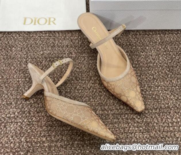 Cheap Price Dior Capture Heeled Mules 6.5cm in Transparent Mesh with Gold-Tone Strass Cannage Motif and Beige Suede 1231