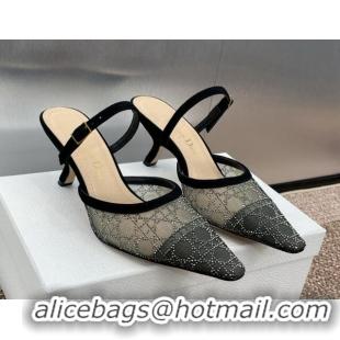 Best Product Dior Capture Heeled Mules 6.5cm in Transparent Mesh with Silver-Tone Strass Cannage Motif and Black Suede 1