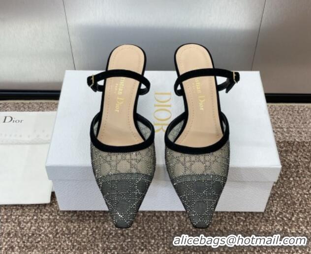 Best Product Dior Capture Heeled Mules 6.5cm in Transparent Mesh with Silver-Tone Strass Cannage Motif and Black Suede 1