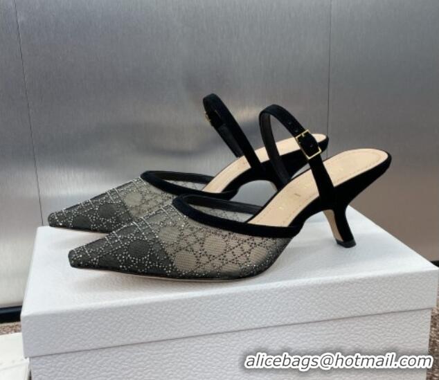 Best Product Dior Capture Heeled Mules 6.5cm in Transparent Mesh with Silver-Tone Strass Cannage Motif and Black Suede 1