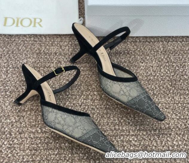 Best Product Dior Capture Heeled Mules 6.5cm in Transparent Mesh with Silver-Tone Strass Cannage Motif and Black Suede 1