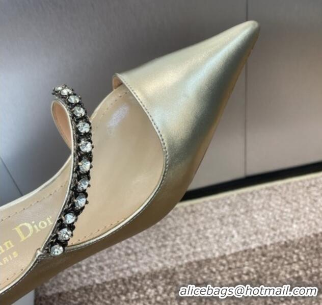 Good Looking Dior Metallic Leather Pumps 7cm with Strass Strap Gold 0220051