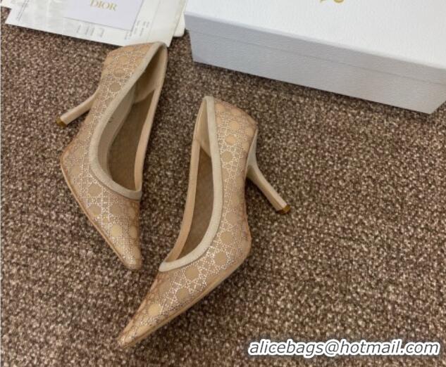 Low Cost Dior Capture Pumps 9.5cm in Transparent Mesh with Strass Cannage Motif and Nude Suede 0220090