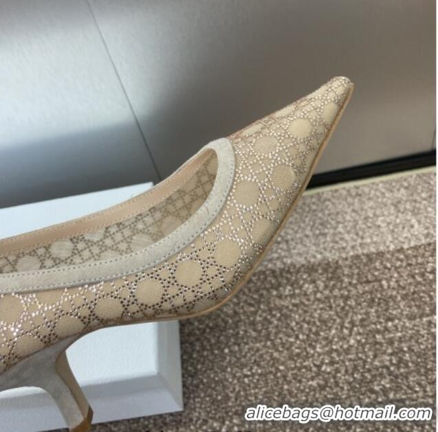 Stylish Dior Capture Pumps 6.5cm in Transparent Mesh with Strass Cannage Motif and Nude Suede 0220092