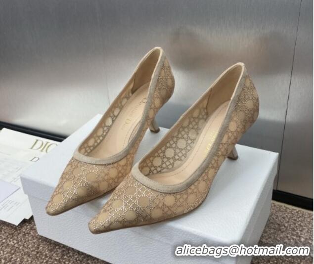 Stylish Dior Capture Pumps 6.5cm in Transparent Mesh with Strass Cannage Motif and Nude Suede 0220092