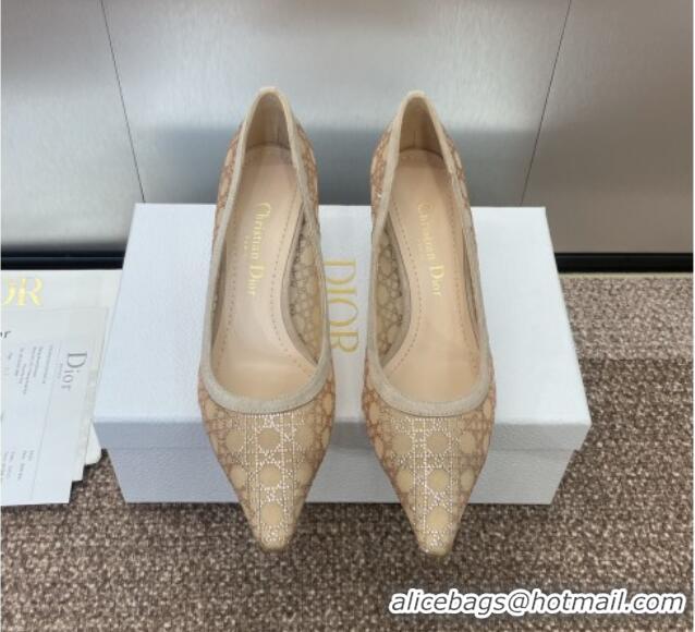 Stylish Dior Capture Pumps 6.5cm in Transparent Mesh with Strass Cannage Motif and Nude Suede 0220092