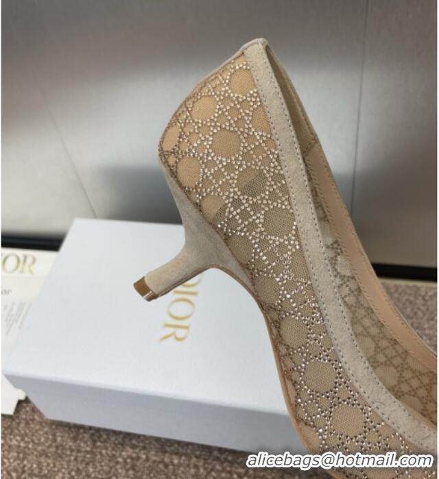 Stylish Dior Capture Pumps 6.5cm in Transparent Mesh with Strass Cannage Motif and Nude Suede 0220092