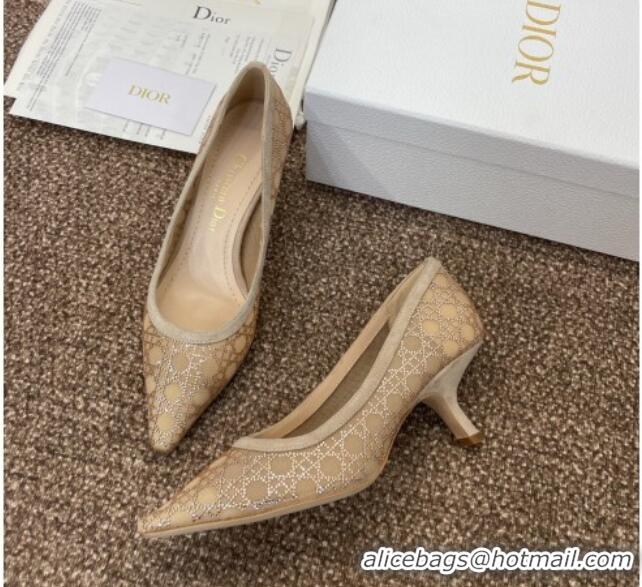 Stylish Dior Capture Pumps 6.5cm in Transparent Mesh with Strass Cannage Motif and Nude Suede 0220092