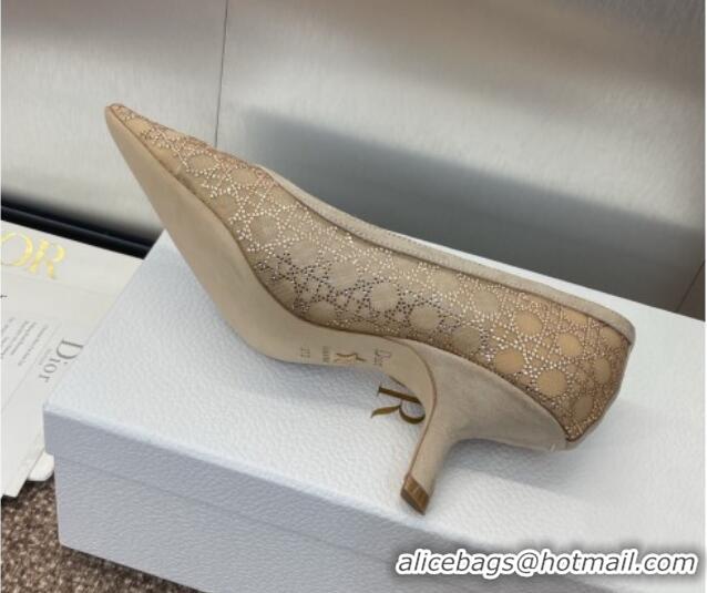 Stylish Dior Capture Pumps 6.5cm in Transparent Mesh with Strass Cannage Motif and Nude Suede 0220092