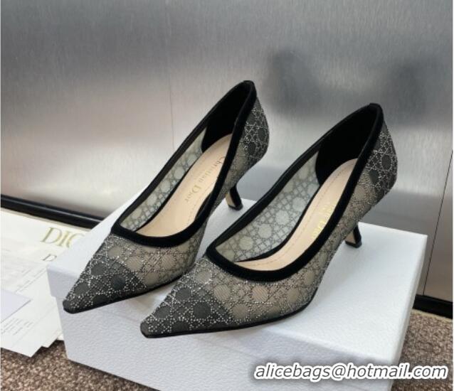 Sumptuous Dior Capture Pumps 6.5cm in Transparent Mesh with Strass Cannage Motif and Black Suede 0220093