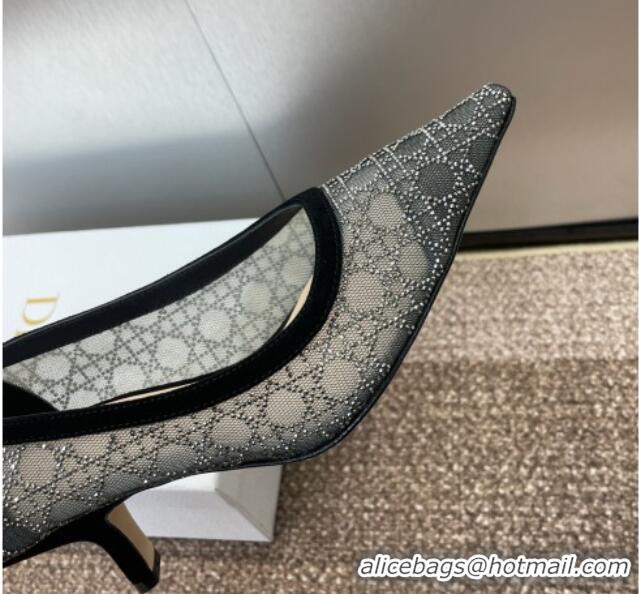 Sumptuous Dior Capture Pumps 6.5cm in Transparent Mesh with Strass Cannage Motif and Black Suede 0220093