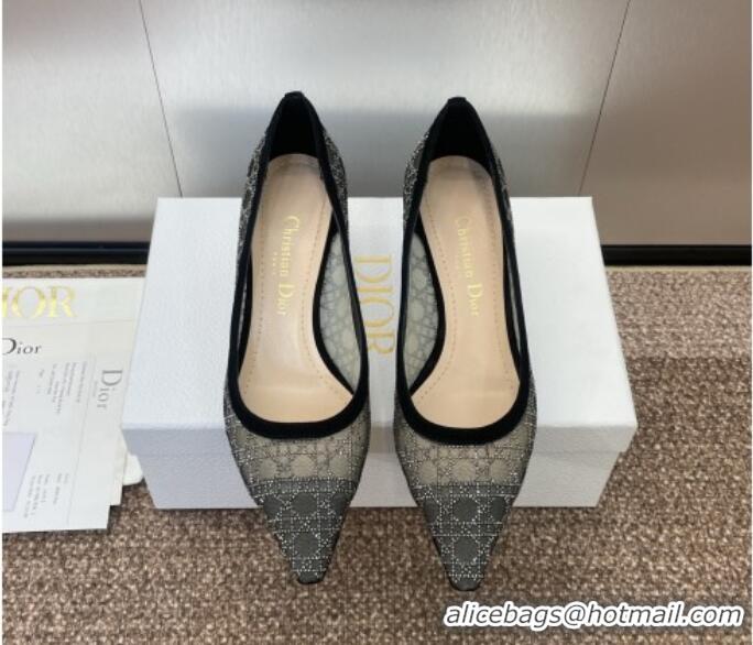 Sumptuous Dior Capture Pumps 6.5cm in Transparent Mesh with Strass Cannage Motif and Black Suede 0220093