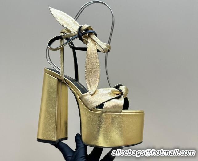 Pretty Style Saint Laurent Laced-up Platform Sandals 14cm in Calfskin Leather Gold 1226066