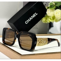 Inexpensive Chanel Sunglasses with Gold-Tone Mesh CH5532 Brown 2024