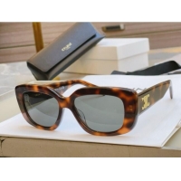 Top Design Celine Sunglasses CE40216 Brown 2024