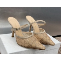 Hot Style Dior Capture Heeled Mules 9.5cm in Transparent Mesh with Gold-Tone Strass Cannage Motif and Beige Suede 123105