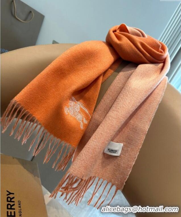 Luxury Cheap Burberry Logo Long Scarf 30x180cm 0912 Orange 2024