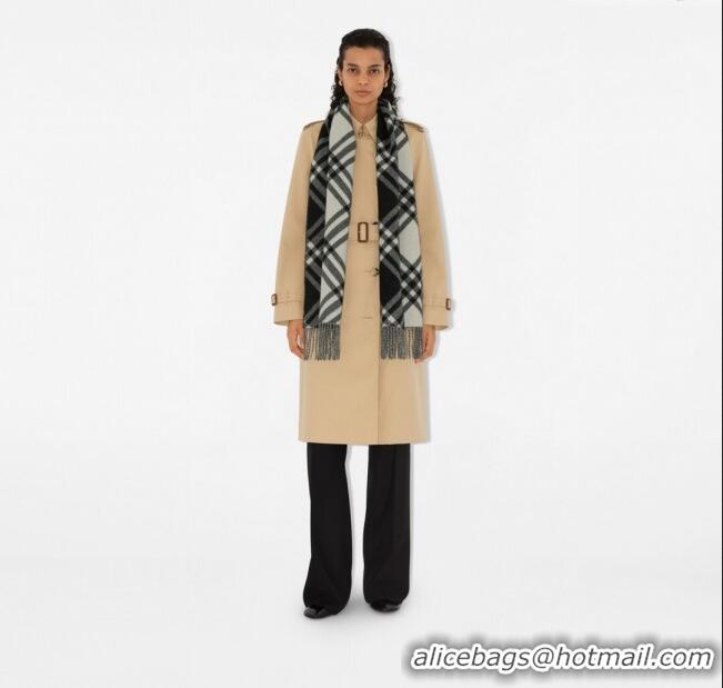 Cheapest Burberry Check Cashmere Scarf B112509 Black 2024 Top Quality