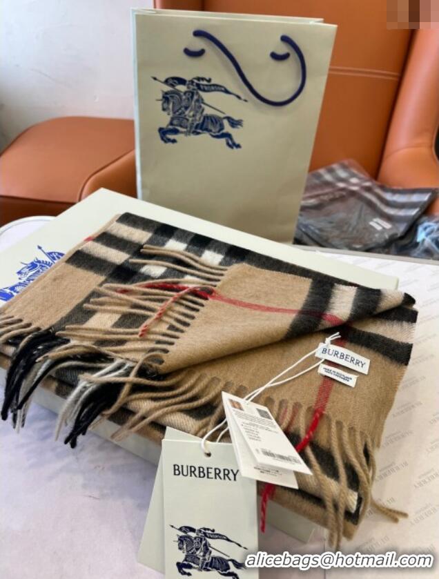 Unique Style Burberry Check Cashmere Scarf B112510 Khaki 2024 Top Quality