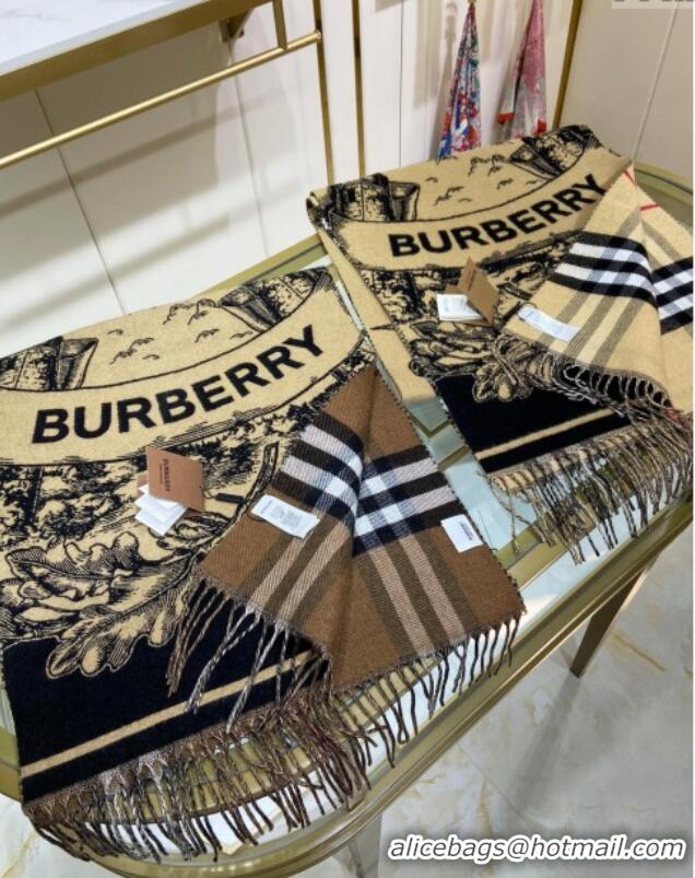 Well Crafted Burberry Cashmere Scarf 210x45cm B020601 Khaki 2025 Top Quality