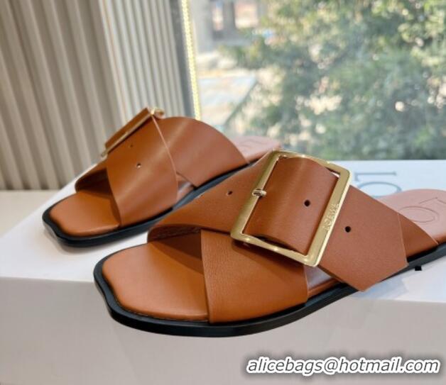 Good Looking Loewe Campo Calfskin Flat Slides Sandal with Buckle Strap Brown 0221081