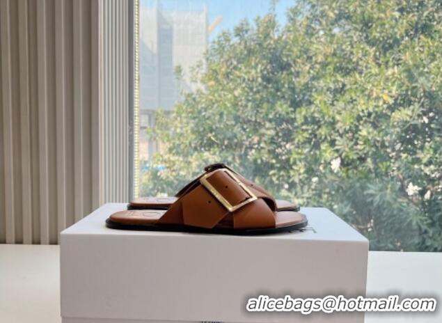 Good Looking Loewe Campo Calfskin Flat Slides Sandal with Buckle Strap Brown 0221081