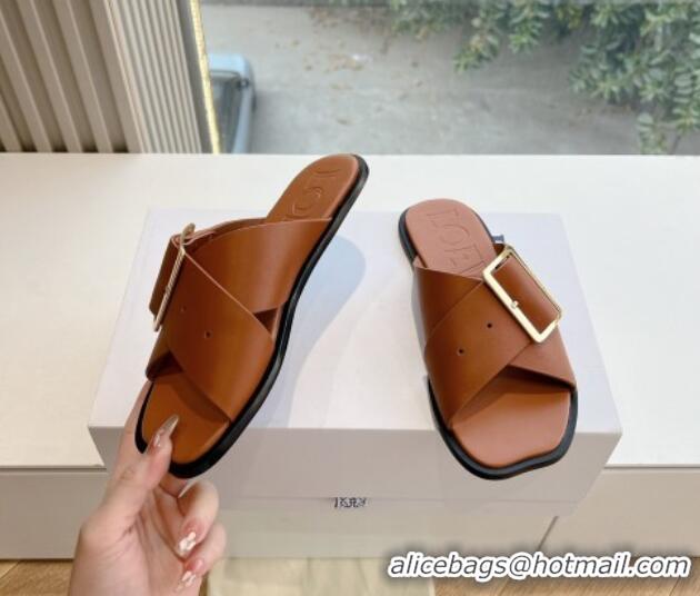 Good Looking Loewe Campo Calfskin Flat Slides Sandal with Buckle Strap Brown 0221081