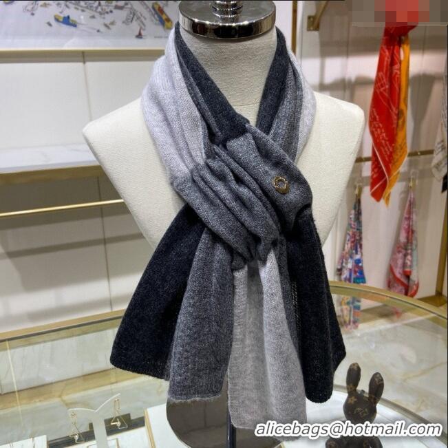 Famous Brand Loro Piana Cashmere Scarf L011012 Grey 2025 Top Quality