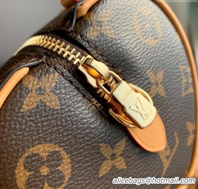 Top Quality Louis Vuitton Nano Speedy Dating Bag in Monogram Canvas M13226 2025