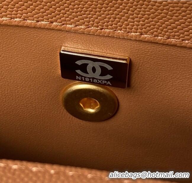 Promotional Chanel Coco Handle Quilted Grained Calfskin Small Flap Bag with Top Handle A92990 Brown 2025