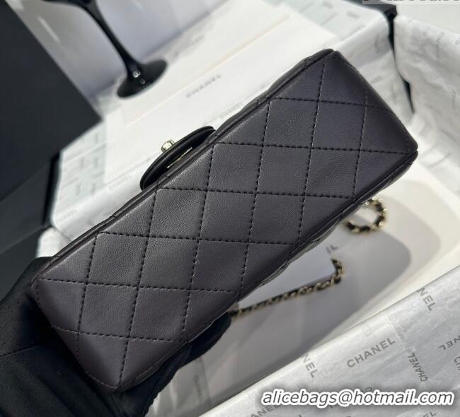 Well Crafted Chanel Coco Lambskin Mini Flap Bag with Top Handle AS2431 Dark Chocolate 2025