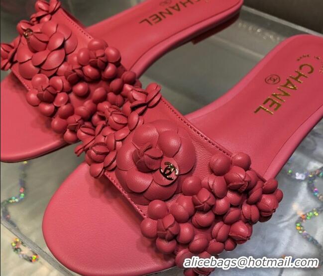 Low Cost Chanel Lambskin Flat Slides Sandal with Camellia Bloom Pink 2025 CH030304