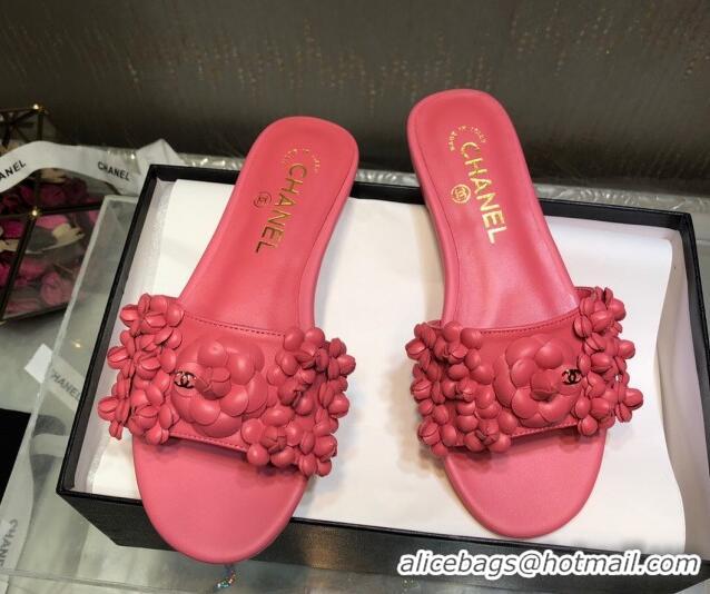 Low Cost Chanel Lambskin Flat Slides Sandal with Camellia Bloom Pink 2025 CH030304
