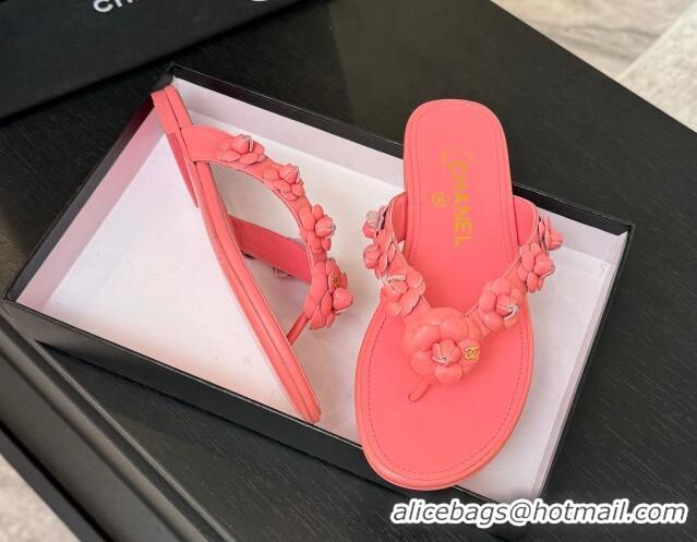Top Design Chanel Lambskin Flat Thong Slide Sandals with Camellia Bloom Pink 2025 CH030304