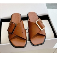 Good Looking Loewe Campo Calfskin Flat Slides Sandal with Buckle Strap Brown 0221081