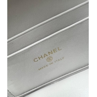 Reasonable Price Chanel Grained Calfskin Long Vanity Case with Chain AP4407 Light Grey 2025