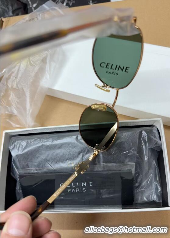 Best Price Celine Sunglasses CE40069 Green 2025