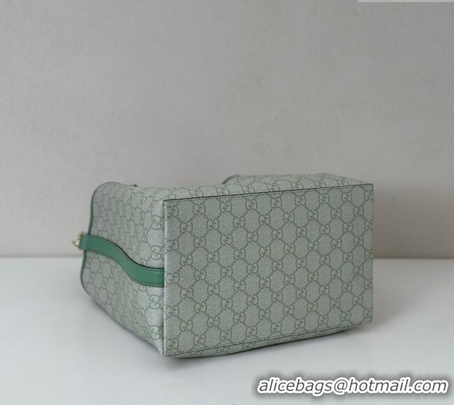Reasonable Price Gucci GG Canvas Emblem Medium Bucket Bag 815103 Sage Green 2025